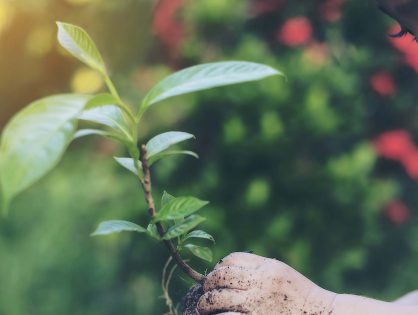 Das Lieferkettengesetz - für Menschenrechte und Umwelt