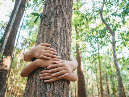 Aktionsplan zur Anpassung an Folgen des Klimawandels